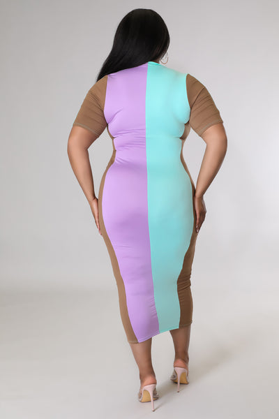 Nikita - Colorblock Dress PLUS