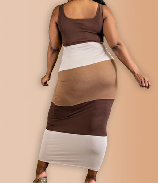 Maya Color Block Tank Dress - PLUS